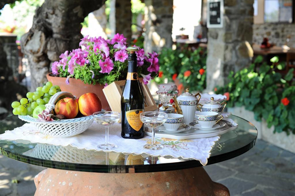 Agriturismo Borgo Mocale Castelfranco di Sopra Bagian luar foto