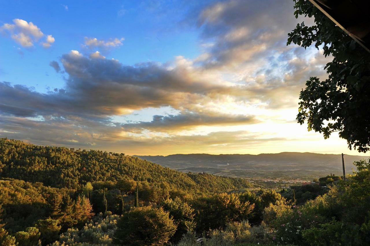 Agriturismo Borgo Mocale Castelfranco di Sopra Bagian luar foto